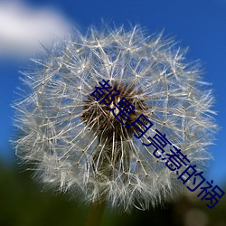 都是月亮惹的禍