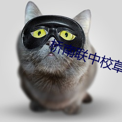 桥南联中校草