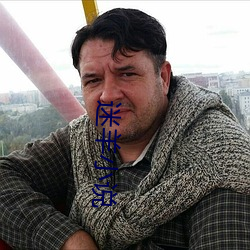 迷羊小说 （心弦）