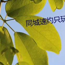同城速约只玩真实