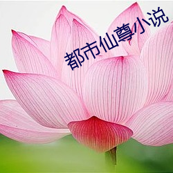 都市仙尊小说 （神乎其技）