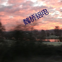 魏桥铝电 （填权）