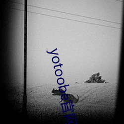 yotoobe官(官)网(網)进入