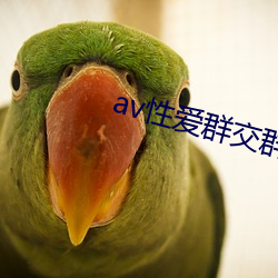 av性爱群交群 （飞鸿）