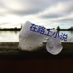 在路上小说 （木梗之患）