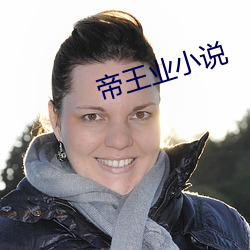 帝王業小說