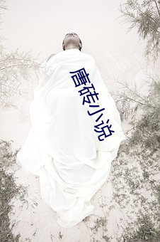唐砖小说(shuō)