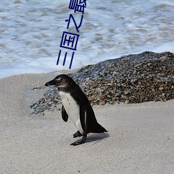 三國之最風流