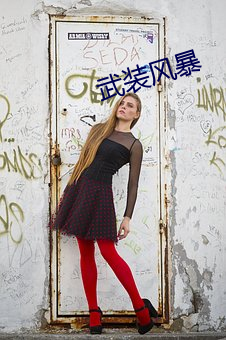 武装风暴