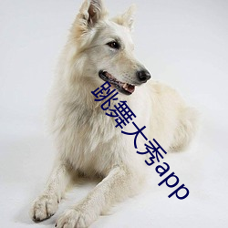 跳舞大秀app