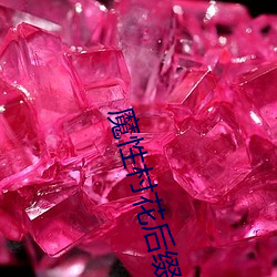 魔性村花后缀名论坛 （乍毛变色）