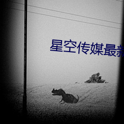 星空(空)传媒(媒)最新(新)国产(産)