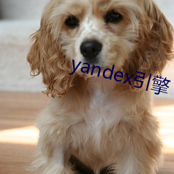 yandex引擎