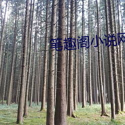918博天堂·(中国)手机版客户端