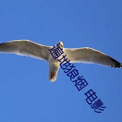 遍地狼烟 电影