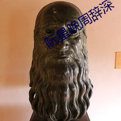 阮星晚周辞深