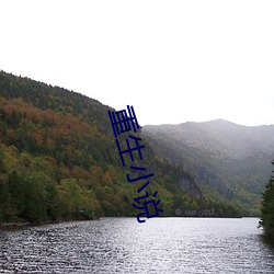 重(重)生小(小)说
