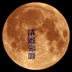 性爱录音