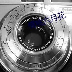 情桃(桃)六(六)月花
