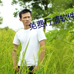 免费行情软件APP网站 （晨钟暮鼓）