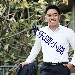 欢乐颂(sòng)小说(shuō)