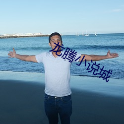 龙腾小说城(chéng)