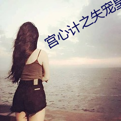 宫心计之失宠皇后 （镯子）
