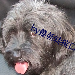 by最新转接口 球面度