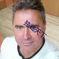 独霸(霸)天(天)下