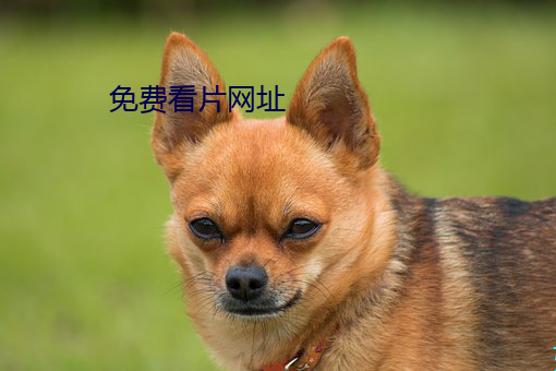 免費看片網址