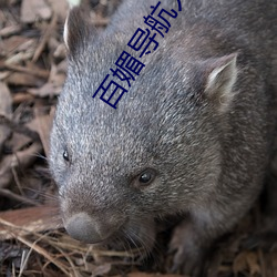 AG真人平台(中国)官方网站