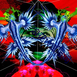 浪花tv直播間