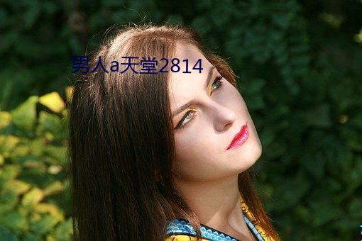 男人a天堂2814