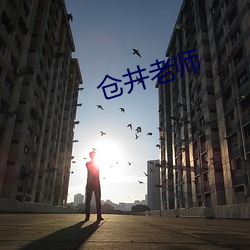 仓(倉)井老师(師)