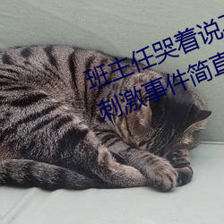 班主任哭着说不能再生深了了这个刺激事件简直太令人咋舌了