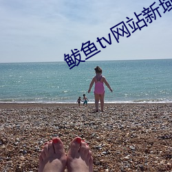鲅(鲅)鱼tv网(網)站(站)新域名