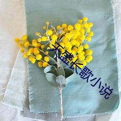vwinӮ(й) - ٷվ