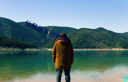 仙君座下尽邪修 （平民