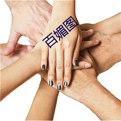 百媚图 （万古长青）