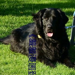 《羞羞漫画登录页面免费漫画在线入口页面真人��土豪漫画无 （无遗��