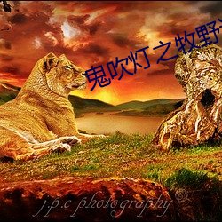 鬼吹灯之(之)牧野诡事