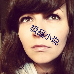极品小说
