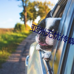 亚洲无忧(憂)传(傳)媒
