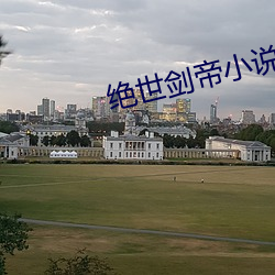 绝世剑帝(dì)小说(shuō)