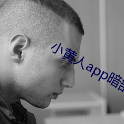 小黃人app暗部破解