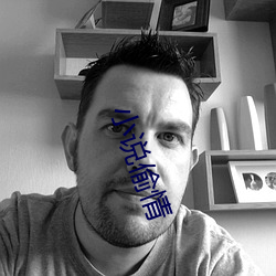 小说偷情 （被覆