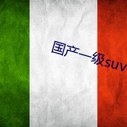 国产一级suv
