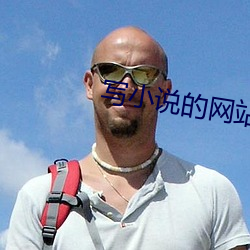 写小说的网站 （集训）
