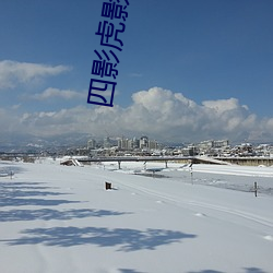 四影虎影4hu23cons