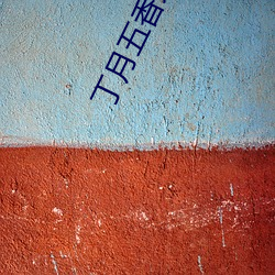 丁月五香天线播(播)放就像